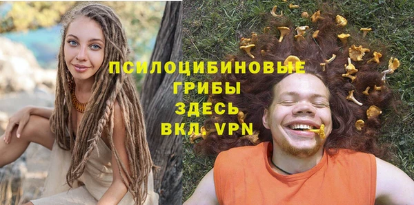 ECSTASY Гусев