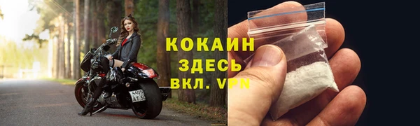 ECSTASY Гусев