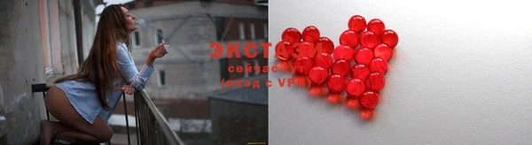 ECSTASY Гусев