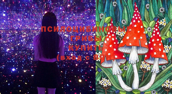 эйфоретик Гусиноозёрск