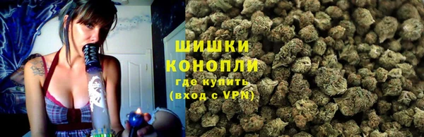 ECSTASY Гусев