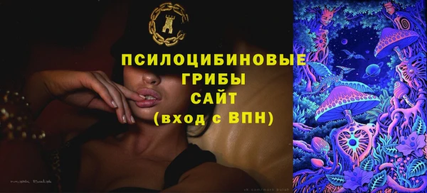 ECSTASY Гусев