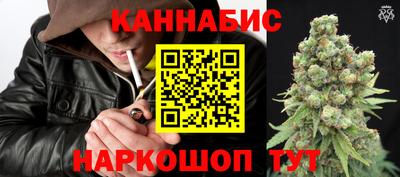стаф Камышлов