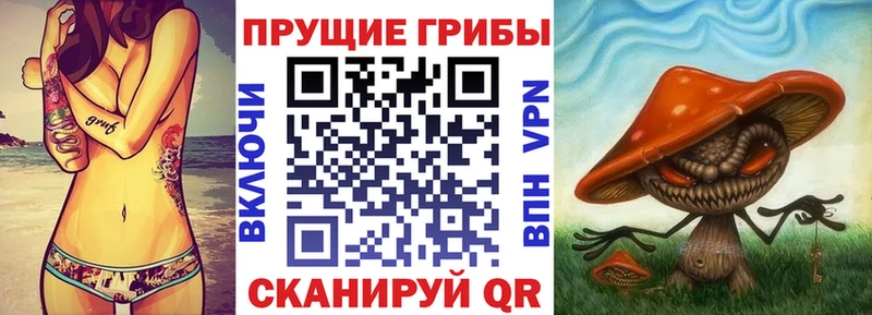 дарнет шоп  Нерюнгри  Галлюциногенные грибы прущие грибы 