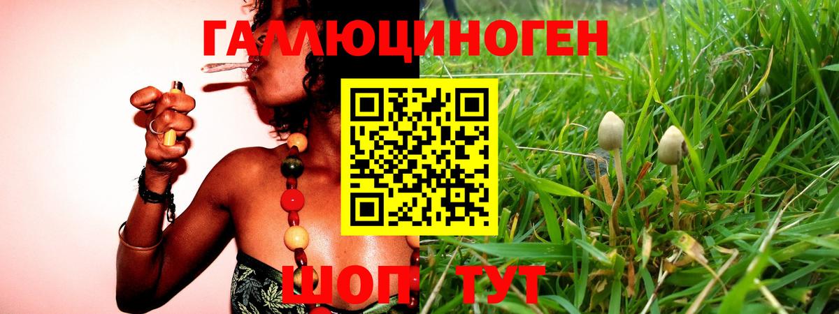 наркота  Нерюнгри  Псилоцибиновые грибы мухоморы  Галлюциногенные грибы мицелий 