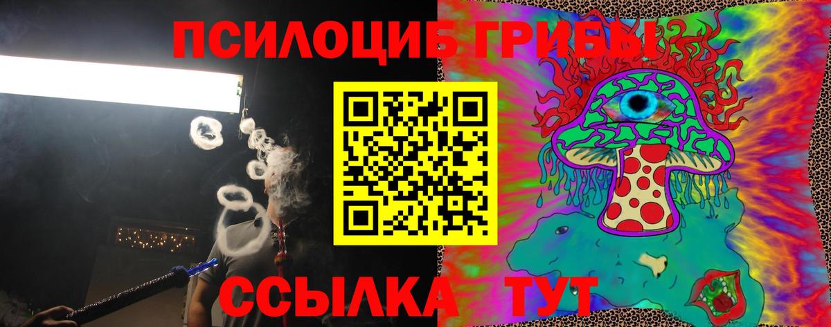Псилоцибиновые грибы Cubensis  Галлюциногенные грибы ЛСД  Вход с VPN  Нерюнгри 